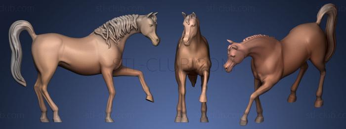 3D модель Арабская лошадь (STL)